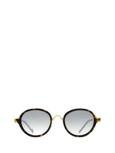 Shop Eyepetizer Sunglasses In Dark Havana Matt And Gold