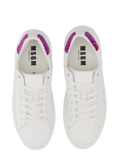 Shop Msgm Iconic Cupsole Sneaker In Purple