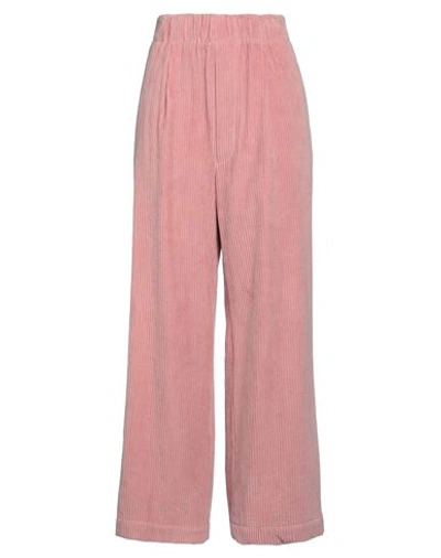 Shop Jejia Woman Pants Pink Size 4 Cotton