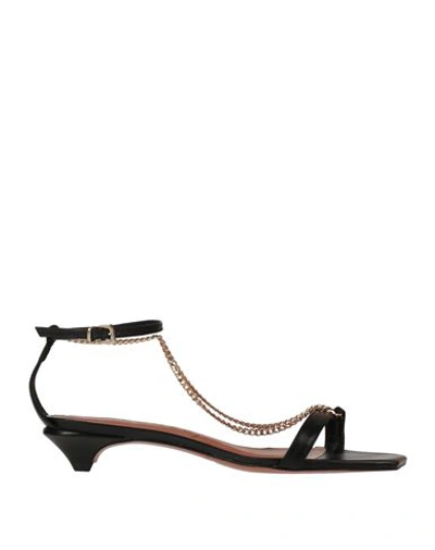 Shop Vicenza ) Woman Thong Sandal Black Size 6 Soft Leather