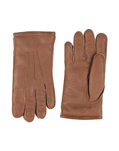 Shop Parajumpers Man Gloves Cocoa Size S Sheepskin, Lambskin In Brown