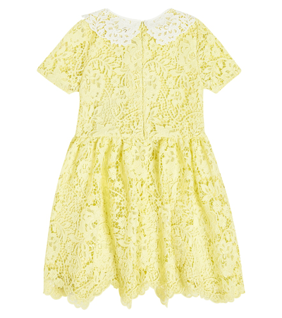 Shop Self-portrait Floral Lace Dress In Yellow