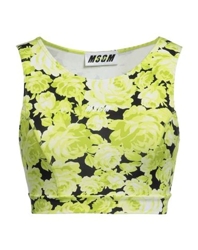 Msgm Floral Print Cropped Top In Green