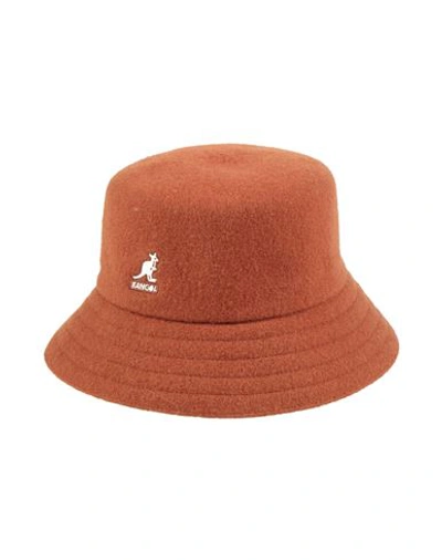 Shop Kangol Woman Hat Brown Size L Wool, Modacrylic