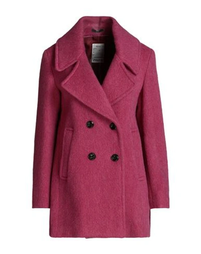 Shop Paltò Woman Coat Magenta Size 8 Virgin Wool