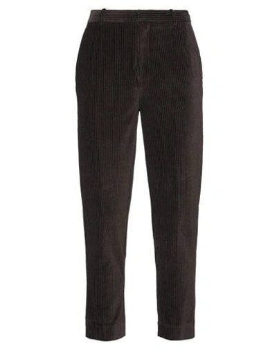 Shop Circolo 1901 Man Pants Dark Brown Size 32 Cotton, Polyester