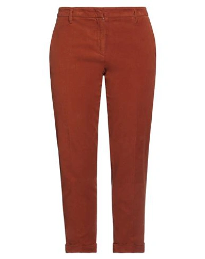 Shop Aspesi Woman Pants Rust Size 12 Cotton, Elastane In Red