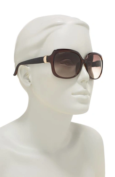 Ferragamo Salvatore  59mm Square Sunglasses In Brown