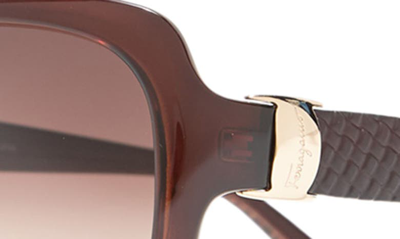 Ferragamo Salvatore  59mm Square Sunglasses In Brown