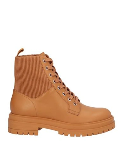 Gianvito Rossi Ribbed-panel Lace-up Boots In Beige