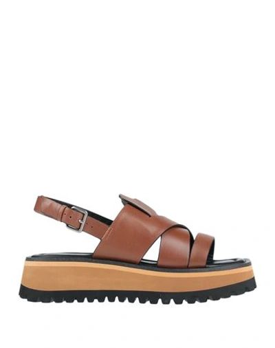 Rahya Grey Woman Sandals Brown Size 10 Soft Leather In Brown