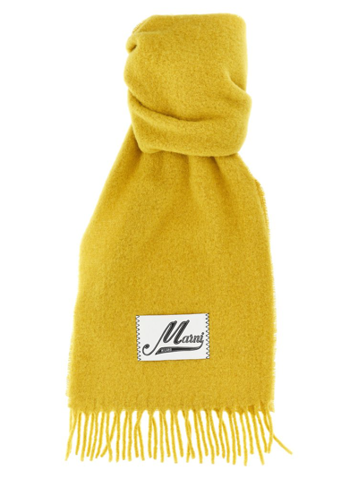 Shop Marni Logo Patch Fringed Scarf In Yellow