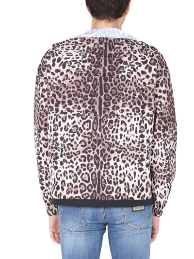 Shop Dolce & Gabbana Jacket With Leopard Print In Multicolor