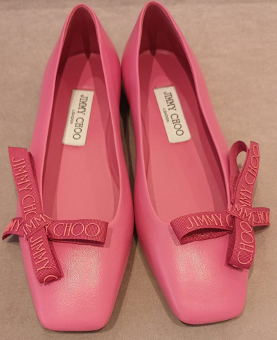 Veda Leather Ballerina Flat In Pink