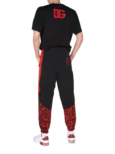Shop Dolce & Gabbana Jogging Pants With Animal Print In Multicolor