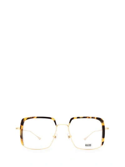 Shop Kaleos Eyeglasses In Gold &amp; Dark Havana