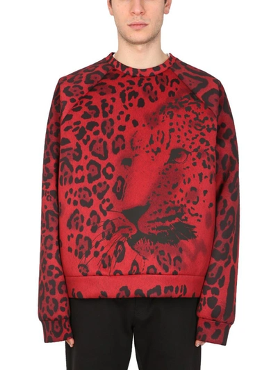 Shop Dolce & Gabbana Leopard Print Sweatshirt In Red