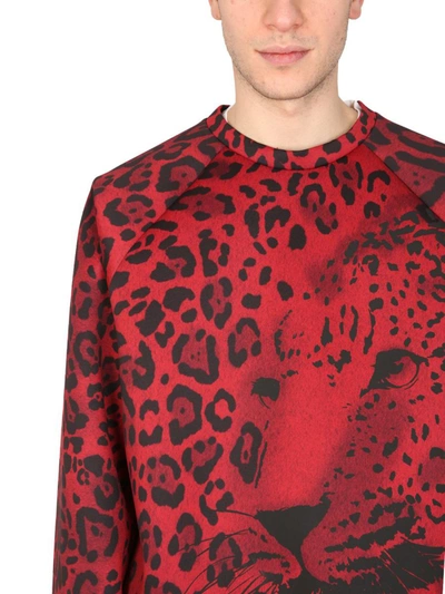 Shop Dolce & Gabbana Leopard Print Sweatshirt In Red