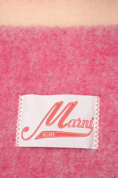 Shop Marni Scarfs In Dry Rose