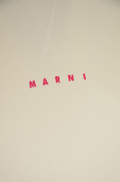 Shop Marni Sweaters In Natural White