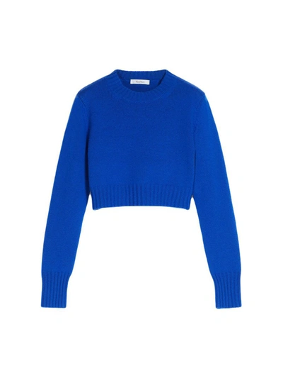 Shop Max Mara Jerseys & Knitwear In Blue