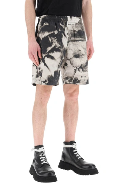 Shop Msgm Cotton Bermuda Shorts With Dreaming Print In Grey