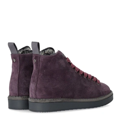 Shop Pànchic Panchic  Purple Mauve Suede Ankle Boot In Violet