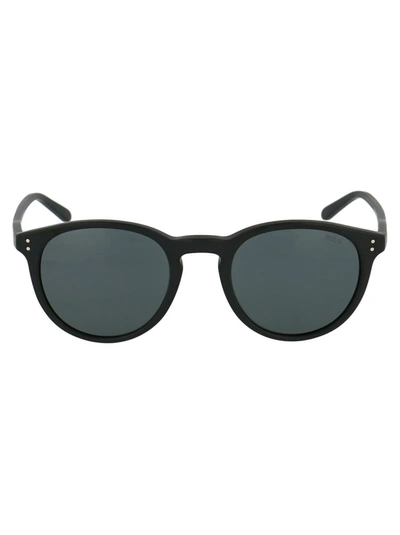 Shop Polo Ralph Lauren Sunglasses In 528487 Matte Black