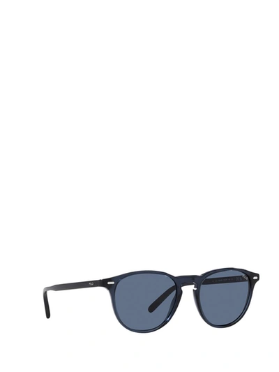 Shop Polo Ralph Lauren Sunglasses In Shiny Transparent Navy Blue