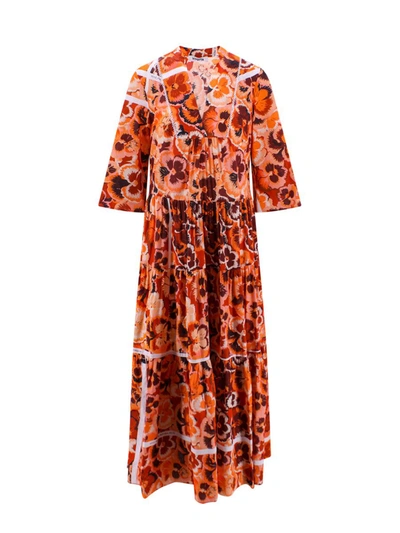 Shop Vivetta Dress In Orange