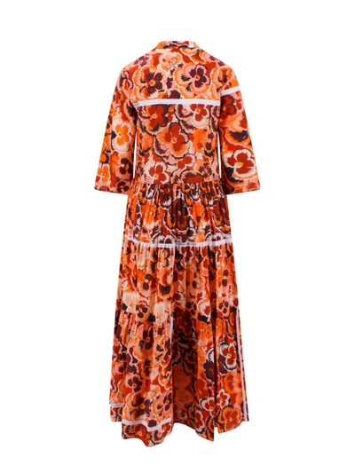 Shop Vivetta Dress In Orange