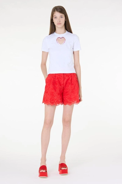 Shop Vivetta Shorts In Red
