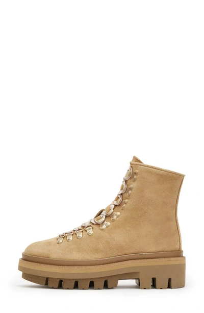 Allsaints Wanda Genuine Shearling Combat Boot In Sand