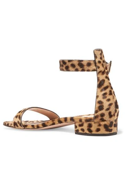 Shop Gianvito Rossi Leopard-print Calf Hair Sandals