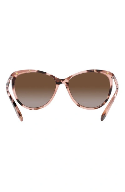 Shop Ralph 59mm Gradient Polarized Cat Eye Sunglasses In Pink Havana