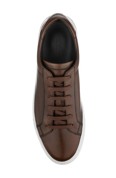 Shop To Boot New York Sierra Lace-up Sneaker In Butterfly Cognac Ant