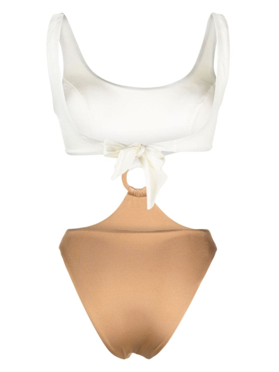 Noire Swimwear Cut-out Detailing Colour-block Swimsuit In Neutrals