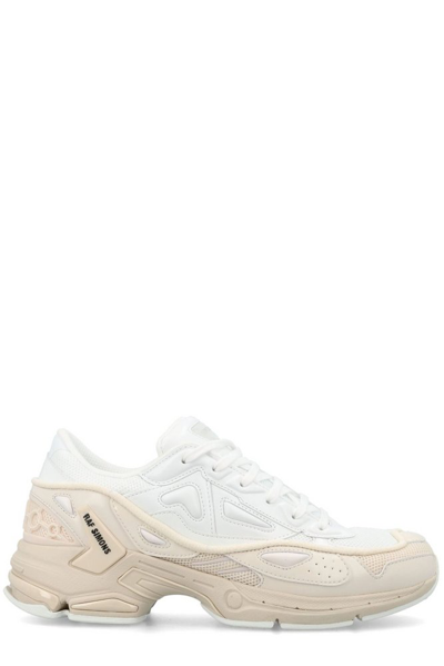 Shop Raf Simons Pharaxus Lace In Multi