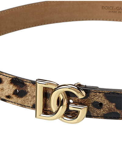 Shop Dolce & Gabbana Kim Dg Logo Leather Belt In Brown