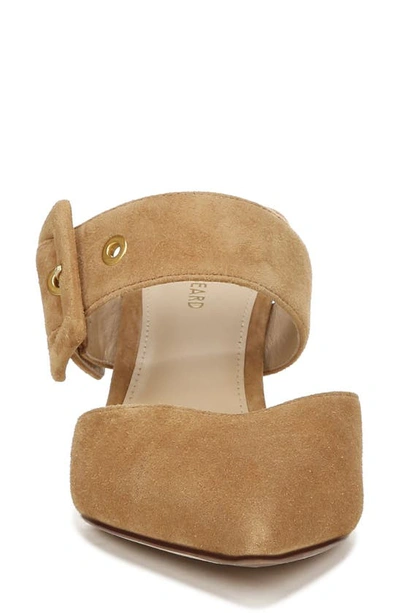 Veronica Beard Linley Pointed Toe Mule In Latte