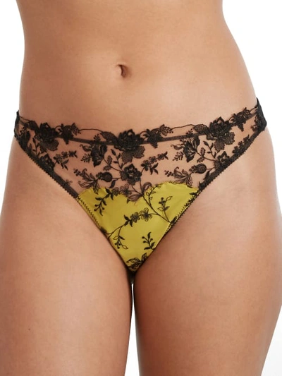 Shop Dita Von Teese Victresse Thong In Black,chartreuse