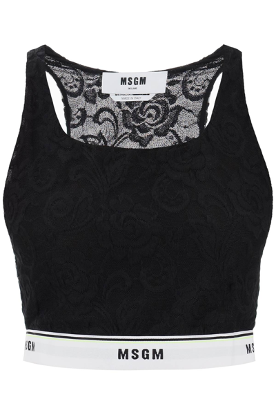 Shop Msgm Sports Bra In Lace With Logoed Band In Black