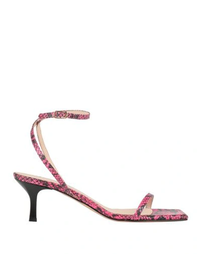 Shop Mychalom Woman Sandals Fuchsia Size 7 Textile Fibers In Pink