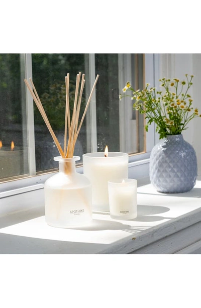 Apotheke Sea Salt Grapefruit Reed Diffuser In Sea Salt Grapefruit