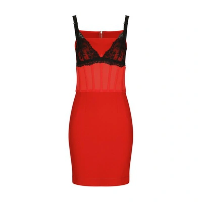 Shop Dolce & Gabbana Milano Rib Dress With Contrasting Bra Detail In Bright_red