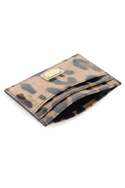 Shop Dolce & Gabbana Leopard Print Leather Cardholder In Beige,black