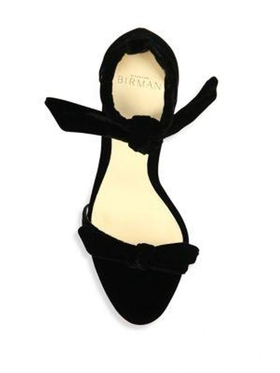 Shop Alexandre Birman Clarita Velvet Ankle-tie Sandals In Blush
