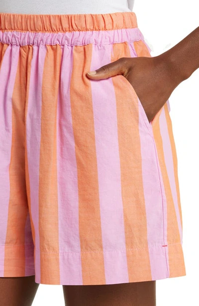 Shop Xirena Caysen Stripe Cotton Shorts In Pomelo Stripe
