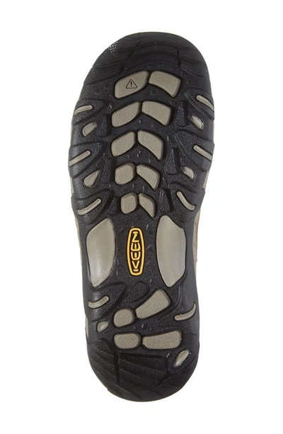 Shop Keen Steens Vent Hiking Shoe In Shitake/ Crown Blue