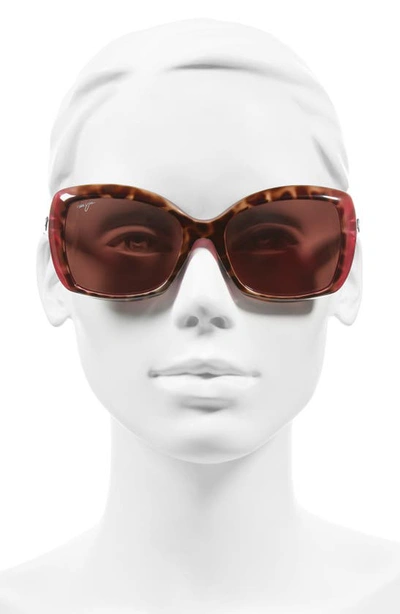 Shop Maui Jim Orchid 56mm Polarizedplus2® Square Sunglasses In Tortoise Raspberry/ Rose